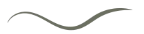 Gemini_Generated_Image_w05lzw05lzw05lzw(1)